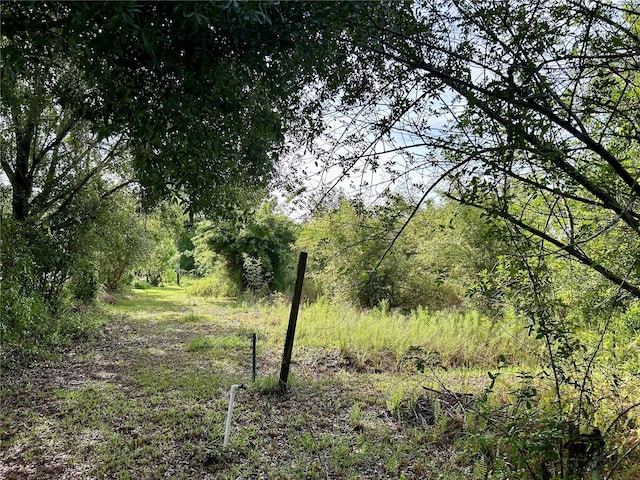 1134 Hopkins Ln, Zolfo Springs, FL 33890 - photo 14