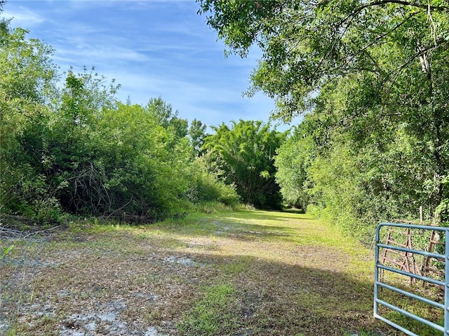 1134 Hopkins Ln, Zolfo Springs, FL 33890 - photo 15