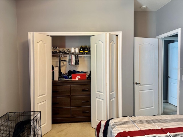 13303 Moss Park Ridge Dr, Orlando, FL 32832 - bedroom with a closet and light carpet