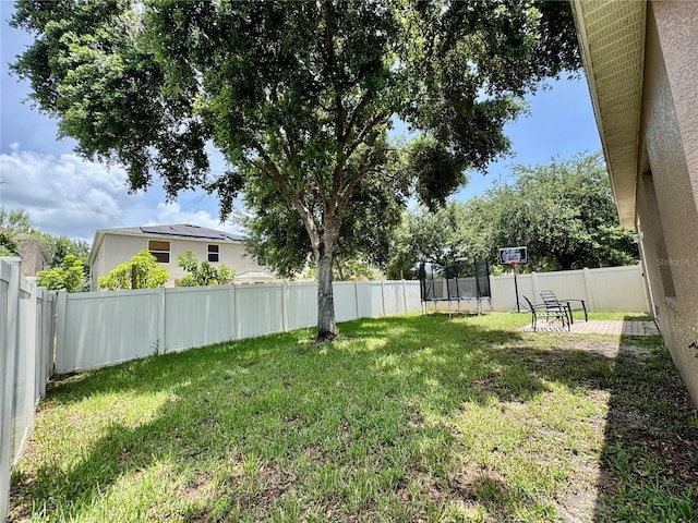 13303 Moss Park Ridge Dr, Orlando, FL 32832 - fenced backyard with a trampoline