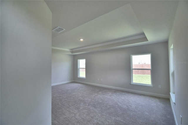 5427 Waterside Dr, Auburndale, FL 33823 - spare room with a raised ceiling, carpet flooring, and ornamental molding