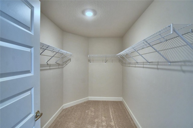 5427 Waterside Dr, Auburndale, FL 33823 - spacious closet featuring carpet floors