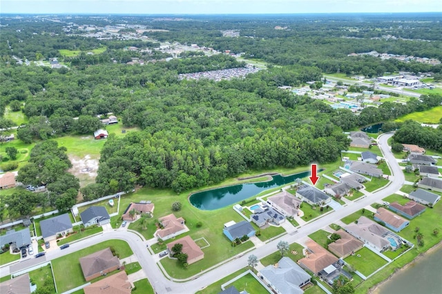 930 Princeton Manor Ln, Lakeland, FL 33809 - photo 52