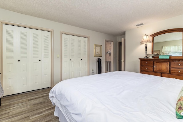 521 Lone Palm Dr, Lakeland, FL 33815 - bedroom featuring wood finished floors, multiple closets, and a textured ceiling