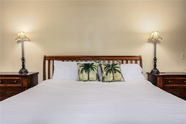 521 Lone Palm Dr, Lakeland, FL 33815 - view of bedroom