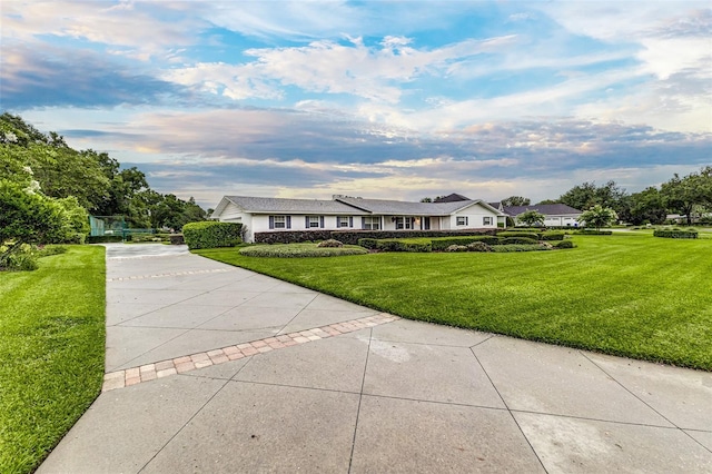 521 Lone Palm Dr, Lakeland, FL 33815 - ranch-style house with concrete driveway and a front lawn