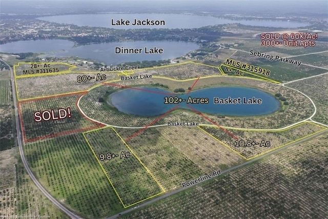1115 Basket Lake Rd, Avon Park, FL 33825 - photo 10
