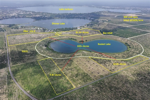 1115 Basket Lake Rd, Avon Park, FL 33825 - photo 1