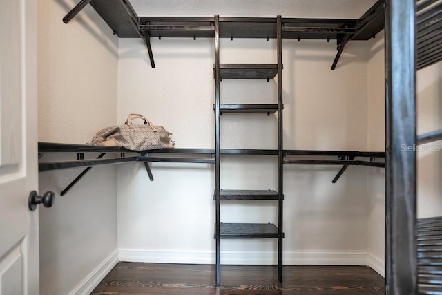 207 W Maxwell St, Lakeland, FL 33803 - walk in closet featuring dark wood-type flooring