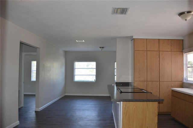 132 Mckean St Unit A, B, Auburndale, FL 33823 - kitchen featuring dark wood-style floors, open floor plan, and black electric stovetop