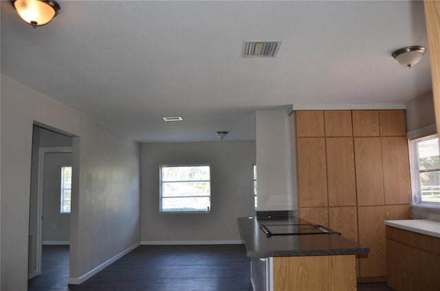 132 Mckean St Unit A, B, Auburndale, FL 33823 - kitchen with dark wood-style floors, black electric cooktop, and dark countertops