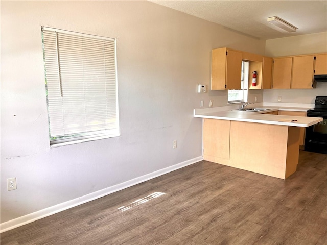 132 Mckean St Unit A, B, Auburndale, FL 33823 - kitchen with electric range, light countertops, light brown cabinets, dark wood-style floors, and a peninsula