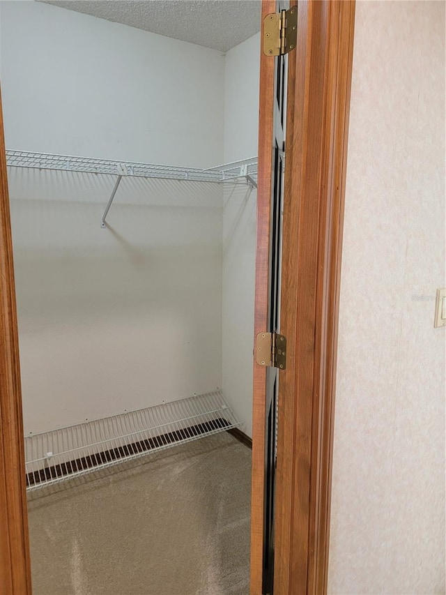 1842 Pinnacle Dr, Lakeland, FL 33813 - spacious closet with carpet floors