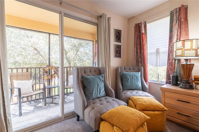 243 Palermo St, Davenport, FL 33897 - living area with carpet flooring and plenty of natural light