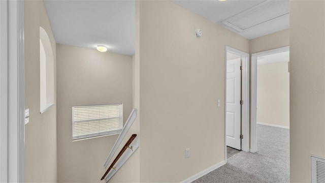 4445 Pebble Pointe Dr, Lakeland, FL 33813 - hallway featuring an upstairs landing and carpet floors