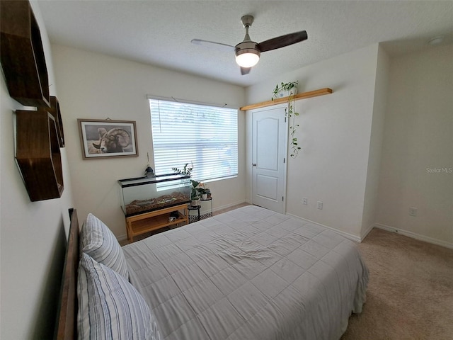 11356 Amber Ridge Dr, Zellwood, FL 32798 - photo 21