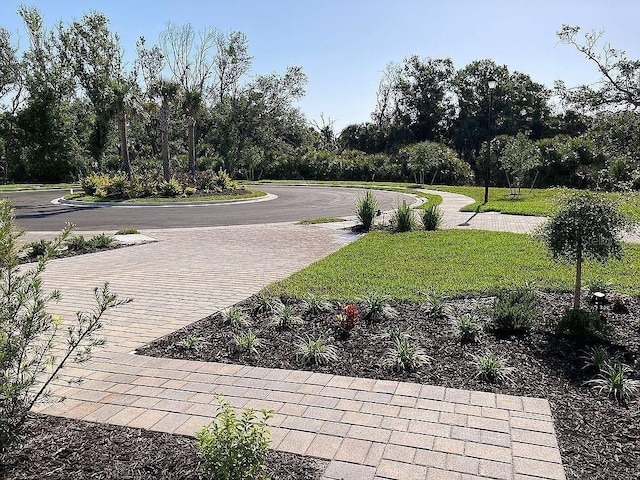 26005 Bimini Sands Ct, Englewood, FL 34223 - view of property's community featuring a lawn and view of wooded area