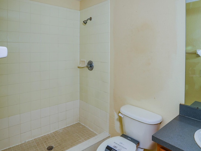 1911 Wind Meadows Dr, Bartow, FL 33830 - bathroom with vanity and a tile shower