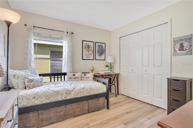 11607 Hammocks Glade Dr, Riverview, FL 33569 - bedroom featuring light wood-style floors and a closet
