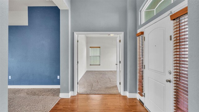 1156 Normandy Heights Cir, Winter Haven, FL 33880 - foyer with wood finished floors and carpet floors