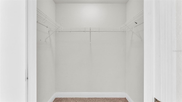 1156 Normandy Heights Cir, Winter Haven, FL 33880 - spacious closet featuring carpet