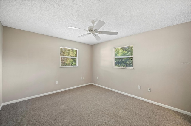 335 W Cummings St, Lake Alfred, FL 33850 - carpeted spare room with plenty of natural light, ceiling fan, and a textured ceiling