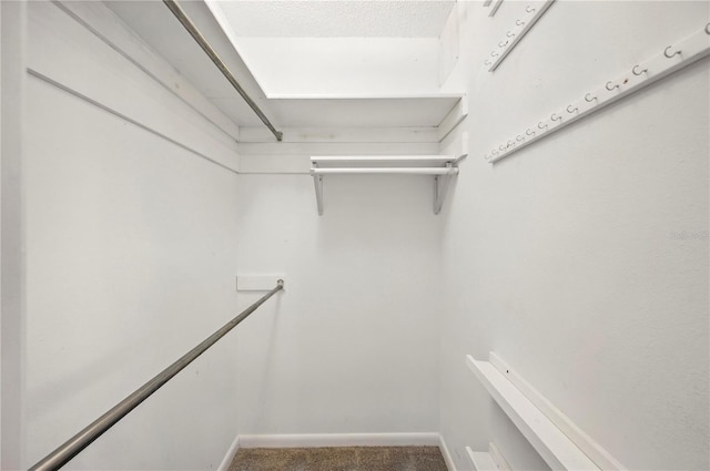 335 W Cummings St, Lake Alfred, FL 33850 - walk in closet with carpet