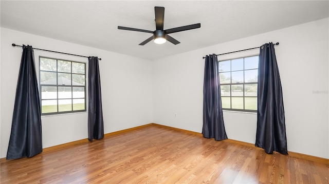 6504 Hereford Dr, Lakeland, FL 33810 - empty room with plenty of natural light, light wood-style floors, and ceiling fan