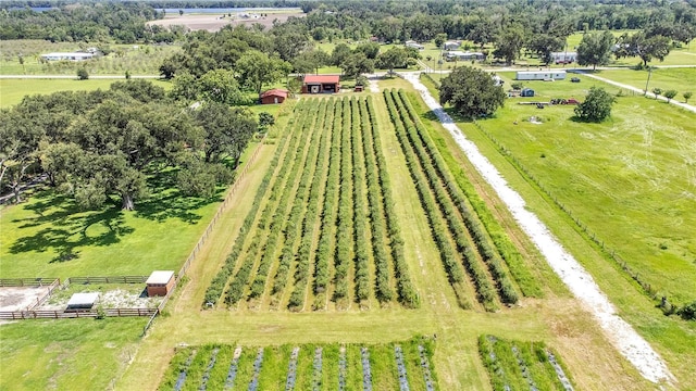 6205 Bethlehem Rd, Mulberry, FL 33860 - photo 1