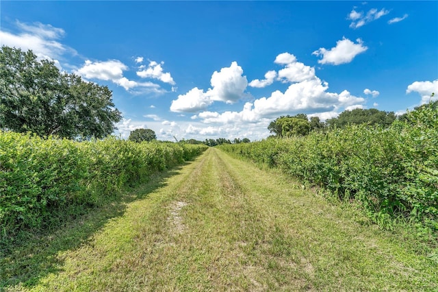 6205 Bethlehem Rd, Mulberry, FL 33860 - photo 3