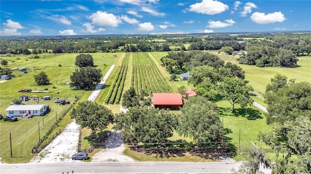 6205 Bethlehem Rd, Mulberry, FL 33860 - photo 32