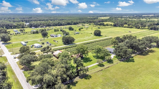 6205 Bethlehem Rd, Mulberry, FL 33860 - photo 35