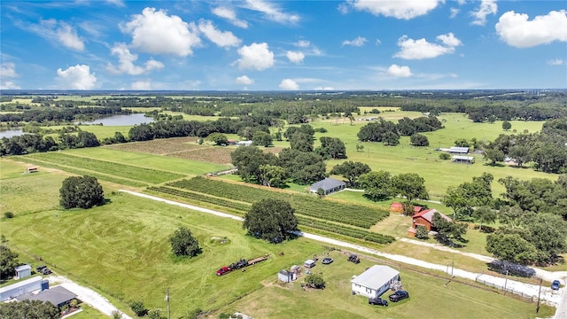 6205 Bethlehem Rd, Mulberry, FL 33860 - photo 36