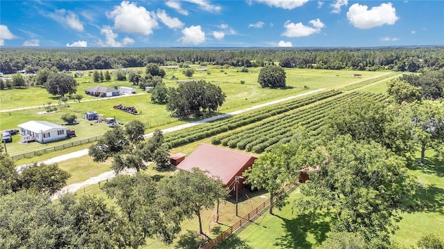 6205 Bethlehem Rd, Mulberry, FL 33860 - photo 38