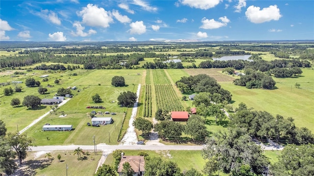 6205 Bethlehem Rd, Mulberry, FL 33860 - photo 39
