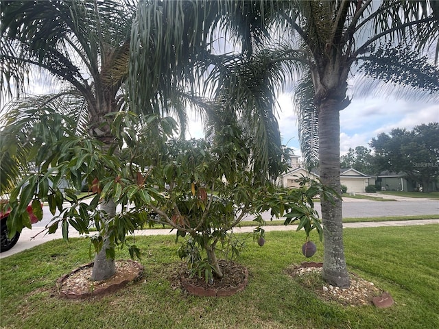 3999 Whistlewood Cir, Lakeland, FL 33811 - view of grassy yard