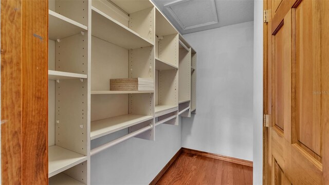1230 Odoniel Loop S, Lakeland, FL 33809 - photo 48