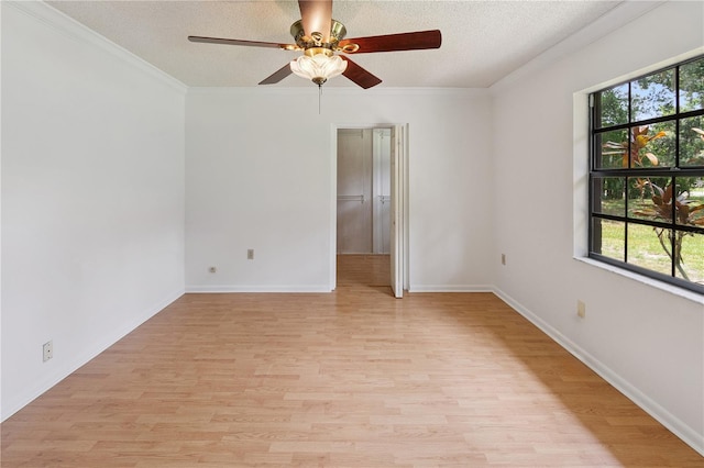 6706 Carriage Ln, Lakeland, FL 33811 - photo 7