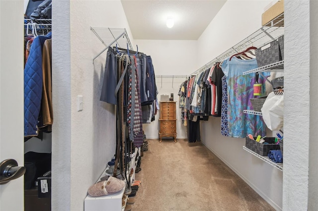 1933 Griffin Trl, Bartow, FL 33830 - spacious closet with carpet floors