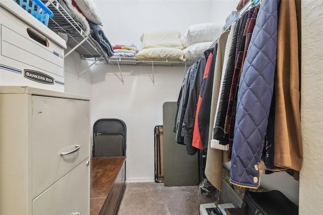 1933 Griffin Trl, Bartow, FL 33830 - spacious closet featuring carpet flooring