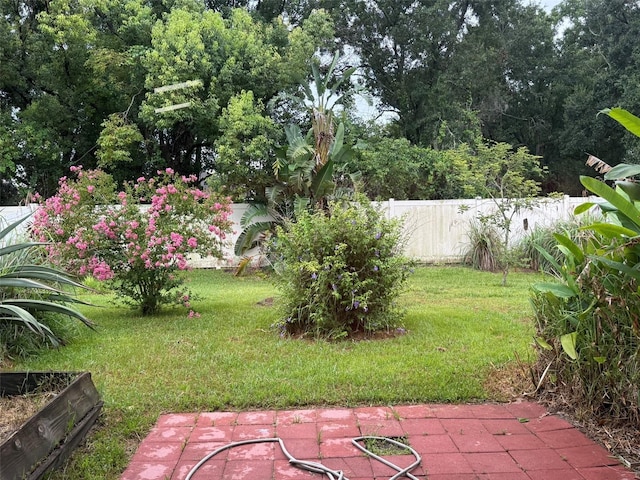 7198 Cedarcrest Blvd, Lakeland, FL 33810 - view of yard with a patio