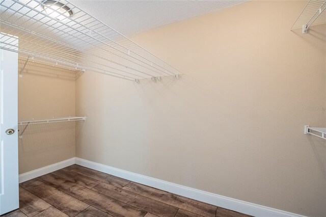2175 Silver Re Dr, Lakeland, FL 33810 - photo 21