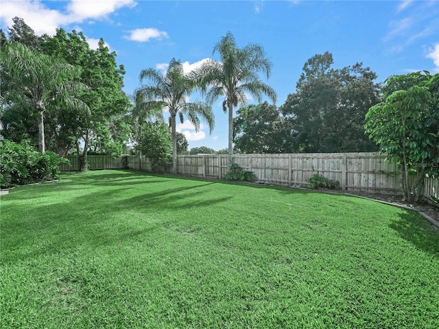 3504 Kilmer Dr, Plant City, FL 33566 - photo 44