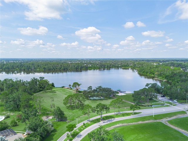 3504 Kilmer Dr, Plant City, FL 33566 - photo 47