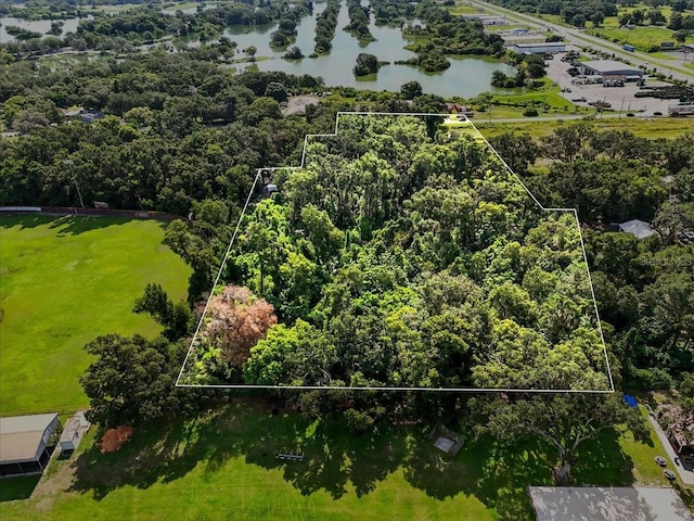 Fish Hatchery Rd, Lakeland, FL 33801 - photo 3