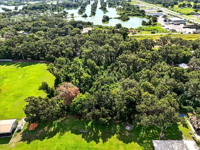Fish Hatchery Rd, Lakeland, FL 33801 - photo 10