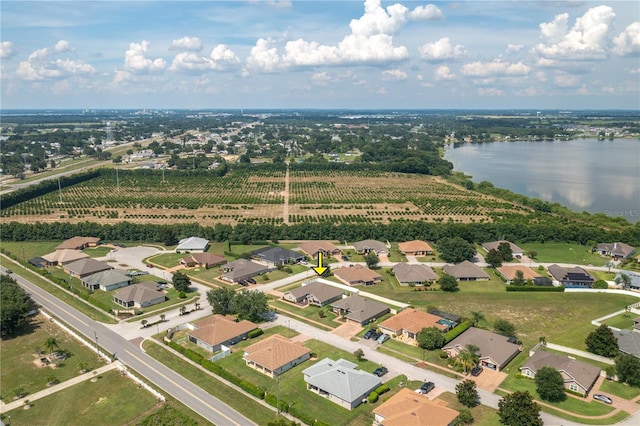 702 Country Walk Cv, Eagle Lake, FL 33839 - drone / aerial view of large plots for crops and a nearby body of water