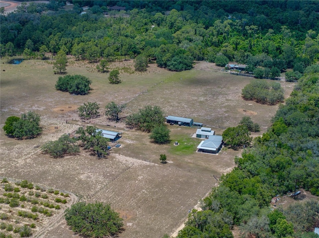 10790 Jim Edwards Rd, Haines City, FL 33844 - photo 2