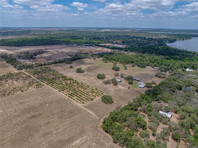 10790 Jim Edwards Rd, Haines City, FL 33844 - photo 5