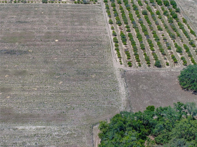 10790 Jim Edwards Rd, Haines City, FL 33844 - photo 7
